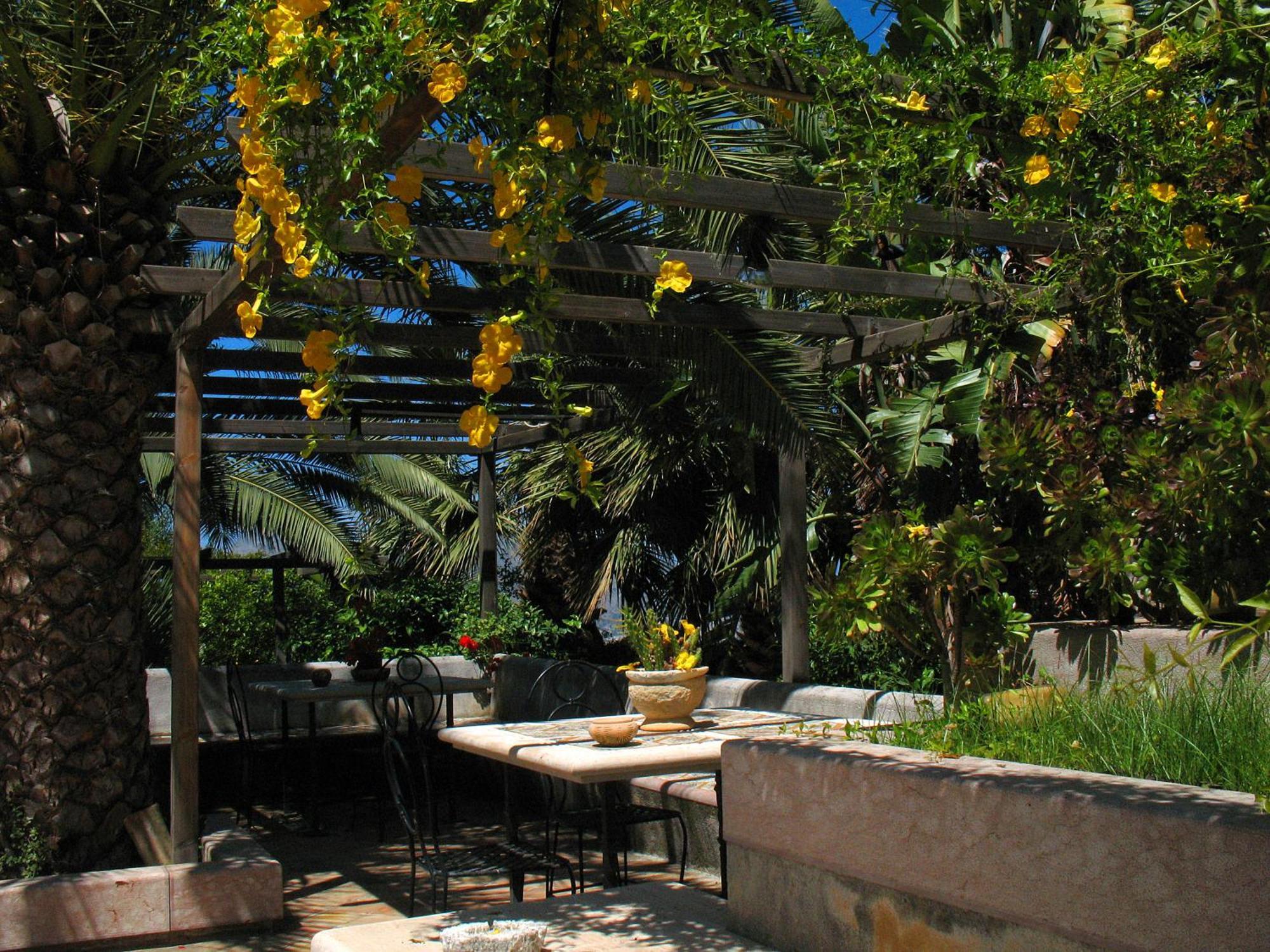 Giardino Degli Ulivi Villa - Palermo — Foto 2
